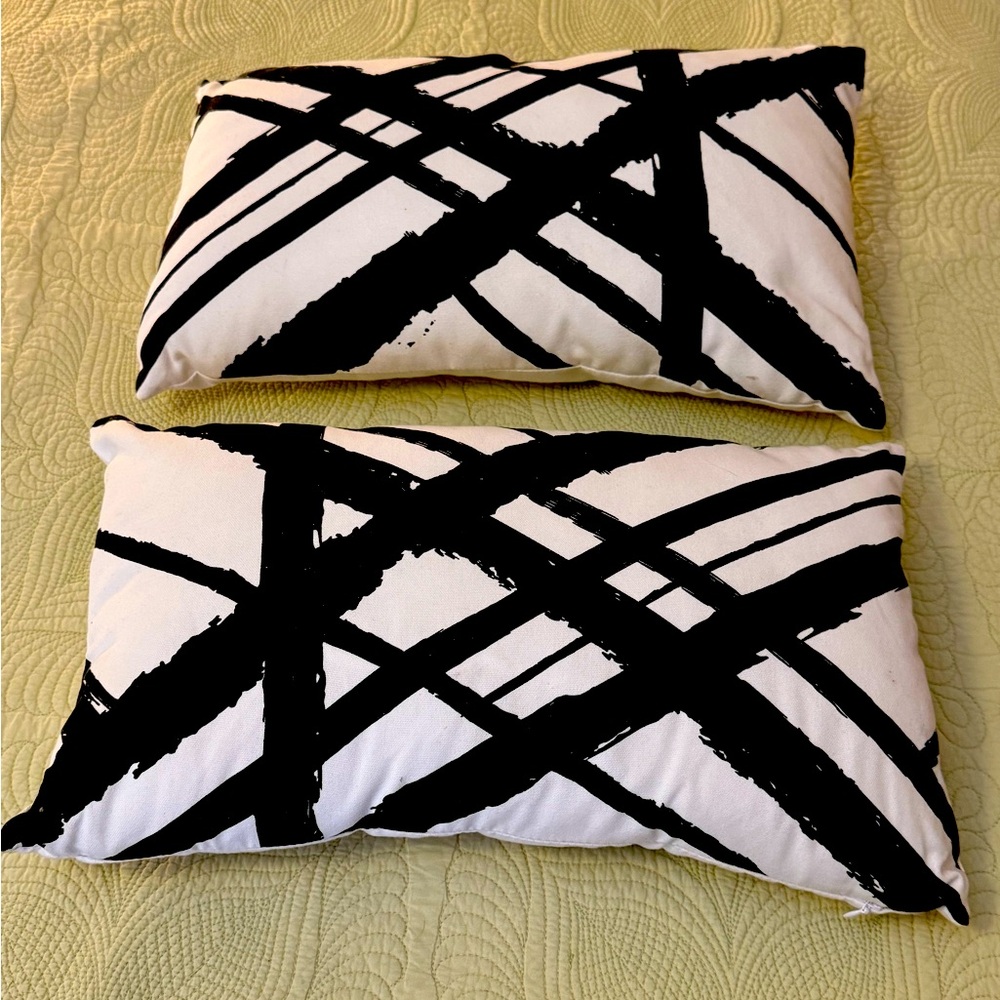 Modern Black and White Accent Pillows